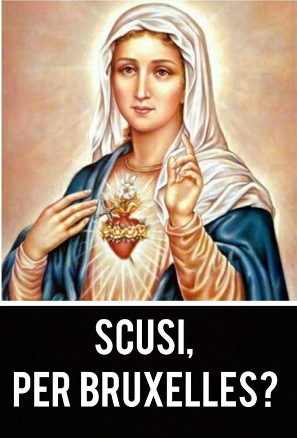 bruxelles maria